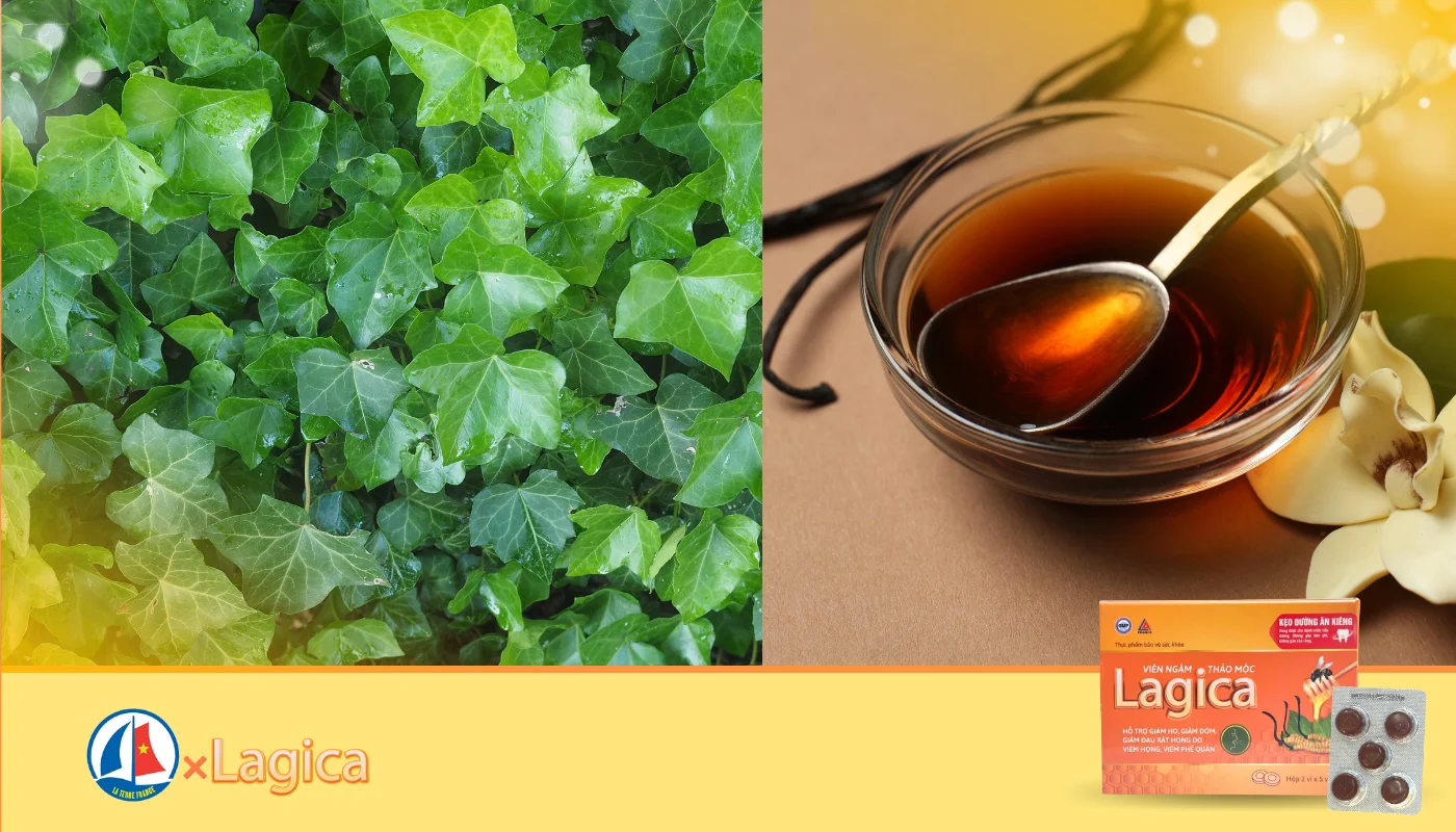 Thành phần Lagica - Cao lá thường xuân